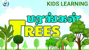 You certainly can list flowers in alphabetical order. Kids Learning Tree Names Learn Names Of Trees Preschool Kids à®®à®°à®™ à®•à®³ à®© à®ª à®¯à®° à®•à®³ à®•à®± à®• Youtube