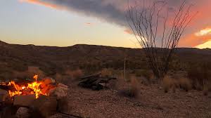 Fundraiser by wiley mosley : Help Build The DumbDumb Palace