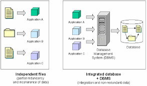 Independent Files Vs Integrated Database Dbms Download Scientific Diagram