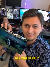 Whale in Alawai Canal