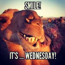 Days of the week quotes on pinterest, hump day camel. 35 Funniest Hump Day Meme Meme Central