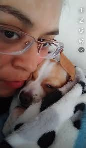 Buenas tardes por si llegan a ver un perrit@ como mi COFFI en Jardines de  Santa Clara, Rio de luz (R1, entre el museo y el deportivo) por favor  comunícate conmigo Me