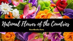 Two microstates and three young countries that have emerged in the 90s during the fall of communism make up a large part of this list. National Flower Of The Countries List Of National Flowers Of Diff Countries