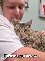 Cats Of San Bernardino added a...