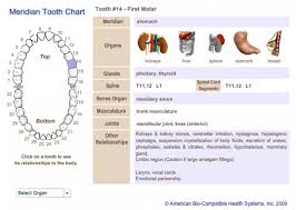 holistic dentistry what it means for your health