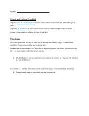 Learn vocabulary, terms and more with flashcards, games and other study tools. Mitosis And Meiosis Lab Worksheet 3 Docx Name Mitosis And Meiosis Virtual Lab Log Onto How Do Cells Reproduce To Learn About Mitosis And Identify The Course Hero