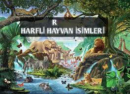 R Harfi Ile Baslayan Hayvan Isimleri En Guzel Sozler Ve Mesajlar