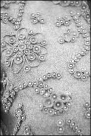 Maison Chanel Week Lilogi Com Inside The House Of Lemarie A Studio Of Feathers For Finery Flower Couture Embroidery Tambour Beading Tambour Embroidery