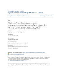 Delaying application until spike stage helps maximize thorough spray coverage in whorls and on plants is essential; Pdf Ethylene Contributes To Maize Insect Resistance1 Mediated Maize Defense Against The Phloem Sap Sucking Corn Leaf Aphid
