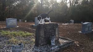 We visit the grave of the original gladys presley in tallahassee florida. Long Lost Grave Of Elvis S Twin Brother Jesse Garon Presley Youtube