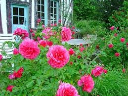 Designing A Beautiful Flower Garden Rose Garden Design Beautiful Flowers Garden Flower Garden Pictures