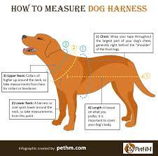 Use the dog size guide to measure the neck, back length, and chest. Dog Harnesses Simple Comfortable Dog Harness Pet Harness Mart Dog Harness Pet Harness Your Dog