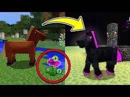 How To Dye Wolves In Minecraft Tutorial Pocket Edition Xbox Mutant Wolves Addon Youtube Minecraft Minecraft Tutorial Minecraft Crafts