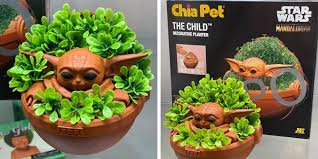 Baby Yoda Chia Pets Are Coming Out Soon So You Can Grow Your Own Child In 2020 Chia Pet Yoda Yoda Meme