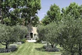 Voor de aanleg van uw tuinplan zijn er verschillende mogelijkheden. Un Olivier Dans Mon Jardin 7 Photos A Voir Image De Jardin Jardin Mediterraneen Jardins