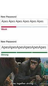 Pin On Funny Cat Memes