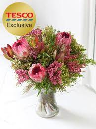 Freesia Flowers Tesco Best Flower Wallpaper