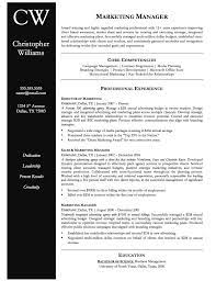 Graphic Professional Resume Career Planning Resume Writing Services Marketing Professional