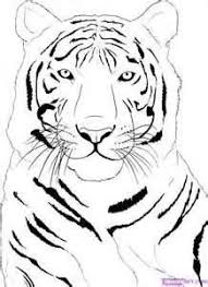 Different plants and animals dwell in these zones. 10 Rainforest Ideas Rainforest Animals Animal Coloring Pages Rainforest