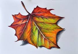New free coloring pages browse, print & color our latest. Art Color Pencil Drawing Buscar Con Google Color Pencil Art Color Pencil Drawing Color Pencil Sketch