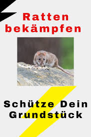 Pin Auf Zukunftige Projekte