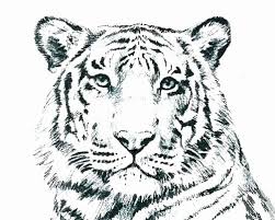 For boys and girls, kids and adults, teenagers and toddlers, preschoolers and older kids at school. Tiger Coloring Pages Hard Bmo Show