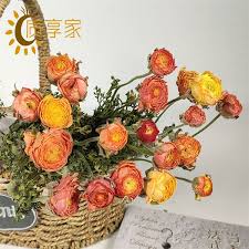 Sending flowers online is in trend these days since flowers are the most beautiful gifts. New Trend Dried Ranunculus Asiaticus Natura Flower House Decoration Flowers For Bedroom Buy Natural Dried Ranunculus Asiaticus New Pattern Home Decoration Flower New Pattern Home Decor Wedding Decoration Dried Ranunculus Asiaticus Product On