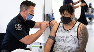 Apna pest control in bc professional pest control team provides domestic & commercial pest control services in surrey, vancouver, richmond & burnaby bc canada. Curve Continues To Bend As B C Reports 165 New Cases Of Covid 19 And No Additional Deaths Cbc News