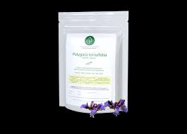 Image result for Polygala senensis