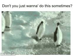 Share the best gifs now >>>. Top 30 Slapping Penguin Gifs Find The Best Gif On Gfycat