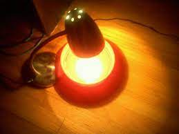 LPT: Get rid of fleas overnight with a bowl of water containing a few drops  of dish soap and a lamp to warm it. : r/LifeProTips
