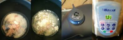 Resepi nasi minyak noxxa 4. Resepi Bubur Nasi Chinese Style Noxxa