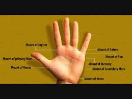 Have you ever wondered what the money lines that are present in your palm define? Do You Have A Mole On This Spot Of Your Palm Lifestyle Astrology English Manorama