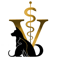 La clinique v?t?rinaire, because they have similar tempos, adjacent camelot values, and complementary styles. Clinique Veterinaire Du Mas Home Facebook