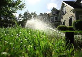 They provide sprinkler design, irrigation services, sprinkler repair and other services. Hd Wallpaper Nature Water Green Garden Lawn Grass Irrigation System Wallpaper Flare
