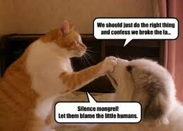 Silence Mongrel Funny Dogs Funny Cat Memes Funny Animals