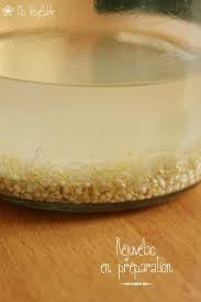 Rejuvelac Ma Vegetable Kefir Recette Probiotique Kefir