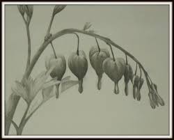 We did not find results for: Item 33 Bleeding Hearts Print Pencil Drawing Rescued Adoption Fund Blog
