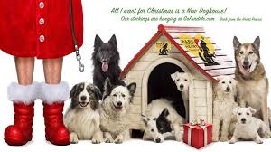 How to Support Bark from the Heart Rescue