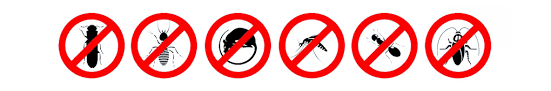 Acme pest control chennai is a professional pest control service provider and we help a lot of households and businesses in chennai to get rid of rodents, mosquitos, cockroaches, termites and other health hazardous pests. Top 10 Pest Control Services In Chennai Safe Certified Chemicals Urban Company