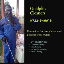 Free next day delivery or click & collect in as little as 5 minutes. Gold Plus Cleaners