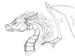 While a staple in fantasy art for decades, designing one of these mythical creatures from scratch is a skill. Dragon Head Sketch By Canislupes On Deviantart Dragon Head Drawing Dragon Sketch Dragon Drawing