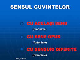 Sensul lexical și sensul gramatical al cuvintelor. Ppt Sensul Cuvintelor Powerpoint Presentation Free Download Id 4955601