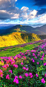 Lanjut dengan gambar yang tidak kalah indah dan menakjubkan untuk anda download sebagai gambar wallpaper, jika melihat ukuran gambar ini. Gambar Pemandangan Cantik Harian Nusantara