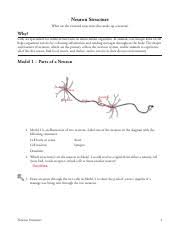 We offer you not only the best books from this country, but many from outsides. Apb Neuron Function Pogil Pdf Neuron Function How Does A Signal Travel Across And Between Neurons Why Just As The Coaxial Cables That Run Down Your Course Hero