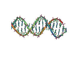 My Genealogy Results From Multiple Dna Tests Neuronales Vias Geometria