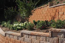 Caring for your lawn is difficult, especially when you're struggling with unsightly disease, damaging insects, and stubborn weeds. Premier Landscape Design And Installation Company In Columbus Ga