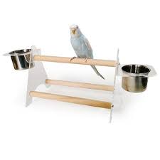 You will b70 pine dowel perch fits the b70 playstand 2 holes are cut in the top of the perch and then ovaled out. Small Medium Parrot Bird Perch Table Top Acrylic Stand With 2 Feeding Cups For Water And Food Mia S Pet Supply