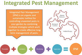 However, this might be the reason for turning scientists into formulation of measures. Professional Pest And Rodent Control Services In Ma And Ri Buono Pest Control Belmont Ma Integrated Pest Management Services In Greater Boston And Rhode Island