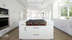 white kitchen with modern cabinets